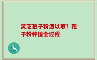 灵芝孢子粉怎以取？孢子粉种植全过程