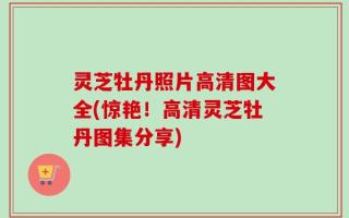 灵芝牡丹照片高清图大全(惊艳！高清灵芝牡丹图集分享)