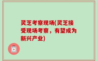 灵芝考察现场(灵芝接受现场考察，有望成为新兴产业)