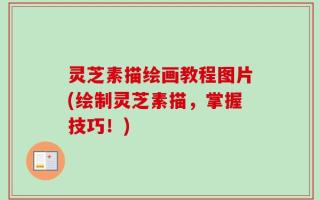 灵芝素描绘画教程图片(绘制灵芝素描，掌握技巧！)