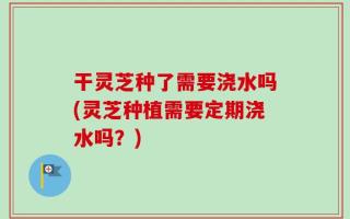 干灵芝种了需要浇水吗(灵芝种植需要定期浇水吗？)