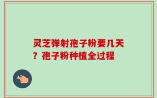 灵芝弹射孢子粉要几天？孢子粉种植全过程