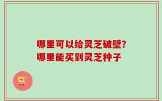 哪里可以给灵芝破壁？哪里能买到灵芝种子