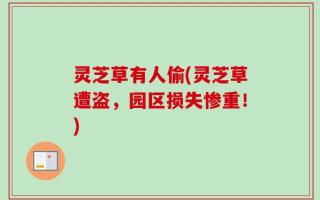灵芝草有人偷(灵芝草遭盗，园区损失惨重！)