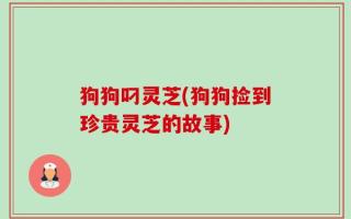 狗狗叼灵芝(狗狗捡到珍贵灵芝的故事)