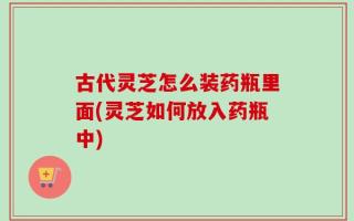古代灵芝怎么装药瓶里面(灵芝如何放入药瓶中)