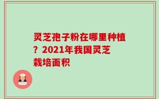 灵芝孢子粉在哪里种植？2021年我国灵芝栽培面积