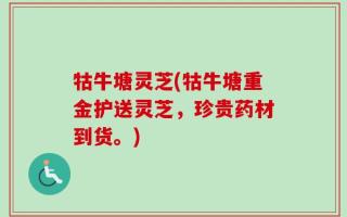 牯牛塘灵芝(牯牛塘重金护送灵芝，珍贵药材到货。)