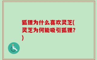 狐狸为什么喜欢灵芝(灵芝为何能吸引狐狸？)