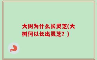 大树为什么长灵芝(大树何以长出灵芝？)