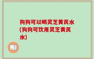 狗狗可以喝灵芝黄芪水(狗狗可饮用灵芝黄芪水)