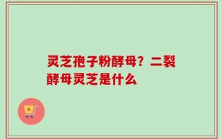 灵芝孢子粉酵母？二裂酵母灵芝是什么