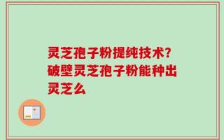 灵芝孢子粉提纯技术？破壁灵芝孢子粉能种出灵芝么