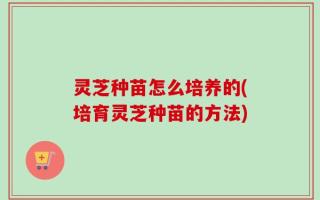 灵芝种苗怎么培养的(培育灵芝种苗的方法)