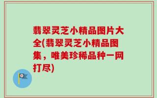 翡翠灵芝小精品图片大全(翡翠灵芝小精品图集，唯美珍稀品种一网打尽)
