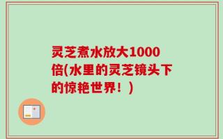 灵芝煮水放大1000倍(水里的灵芝镜头下的惊艳世界！)