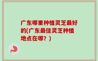 广东哪里种植灵芝最好的(广东最佳灵芝种植地点在哪？)