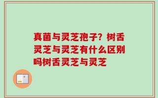 真菌与灵芝孢子？树舌灵芝与灵芝有什么区别吗树舌灵芝与灵芝