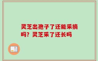灵芝出孢子了还能采摘吗？灵芝采了还长吗