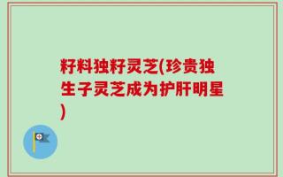籽料独籽灵芝(珍贵独生子灵芝成为护肝明星)