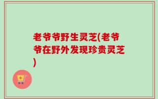 老爷爷野生灵芝(老爷爷在野外发现珍贵灵芝)