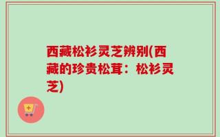 西藏松衫灵芝辨别(西藏的珍贵松茸：松衫灵芝)