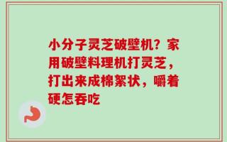 小分子灵芝破壁机？家用破壁料理机打灵芝，打出来成棉絮状，嚼着硬怎吞吃