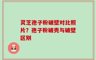 灵芝孢子粉破壁对比照片？孢子粉破壳与破壁区别