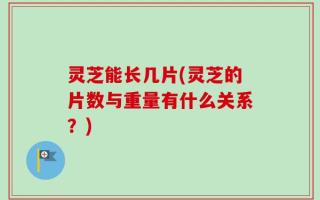 灵芝能长几片(灵芝的片数与重量有什么关系？)