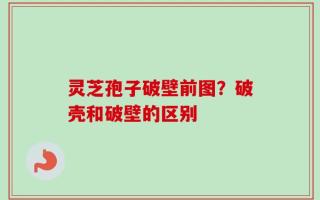灵芝孢子破壁前图？破壳和破壁的区别