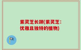 紫灵芝长颈(紫灵芝：优雅且独特的植物)
