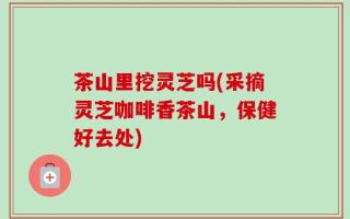 茶山里挖灵芝吗(采摘灵芝咖啡香茶山，保健好去处)
