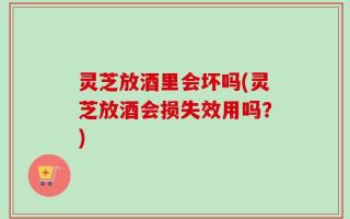 灵芝放酒里会坏吗(灵芝放酒会损失效用吗？)