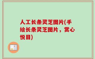 人工长条灵芝图片(手绘长条灵芝图片，赏心悦目)