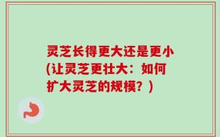 灵芝长得更大还是更小(让灵芝更壮大：如何扩大灵芝的规模？)