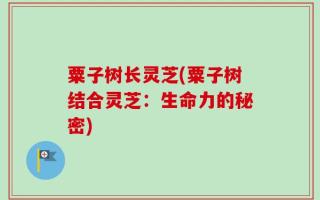 粟子树长灵芝(粟子树结合灵芝：生命力的秘密)