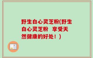 野生白心灵芝粉(野生白心灵芝粉  享受天然健康的好处！)
