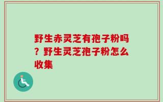 野生赤灵芝有孢子粉吗？野生灵芝孢子粉怎么收集