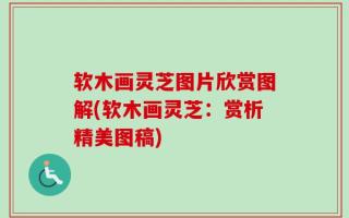 软木画灵芝图片欣赏图解(软木画灵芝：赏析精美图稿)