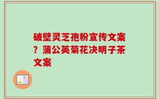 破壁灵芝孢粉宣传文案？蒲公英菊花决明子茶文案