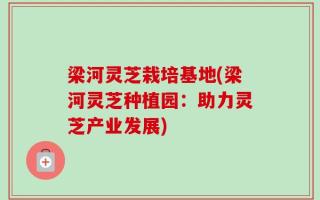 梁河灵芝栽培基地(梁河灵芝种植园：助力灵芝产业发展)