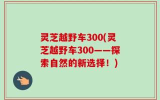 灵芝越野车300(灵芝越野车300——探索自然的新选择！)