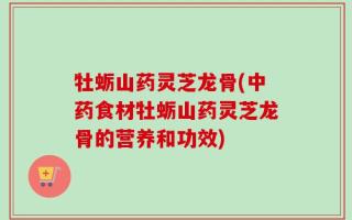 牡蛎山药灵芝龙骨(中药食材牡蛎山药灵芝龙骨的营养和功效)
