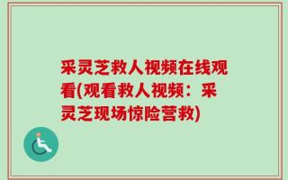 采灵芝救人视频在线观看(观看救人视频：采灵芝现场惊险营救)