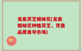 龙泉灵芝姐妹花(龙泉姐妹花种植灵芝，凭借品质勇夺市场)