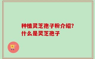 种植灵芝孢子粉介绍？什么是灵芝孢子