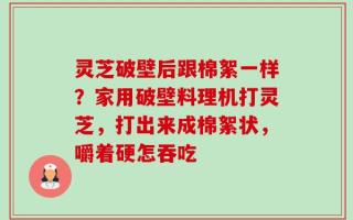 灵芝破壁后跟棉絮一样？家用破壁料理机打灵芝，打出来成棉絮状，嚼着硬怎吞吃