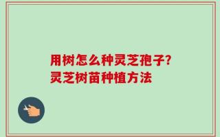 用树怎么种灵芝孢子？灵芝树苗种植方法