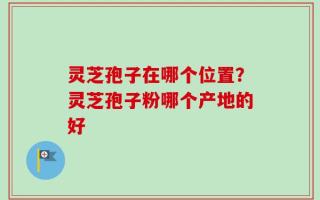 灵芝孢子在哪个位置？灵芝孢子粉哪个产地的好