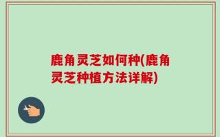 鹿角灵芝如何种(鹿角灵芝种植方法详解)